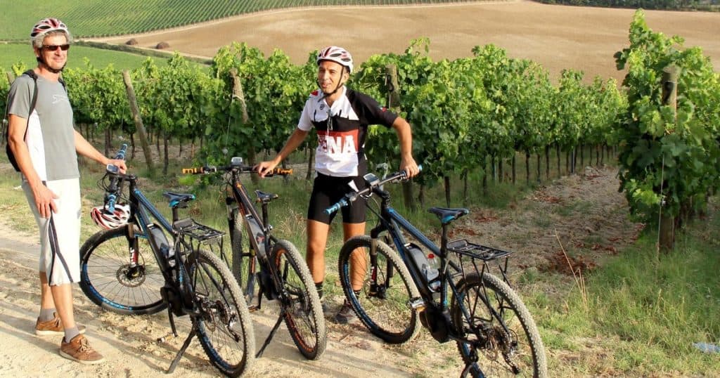 Small Group E-Bike Tour with Winery Lunch