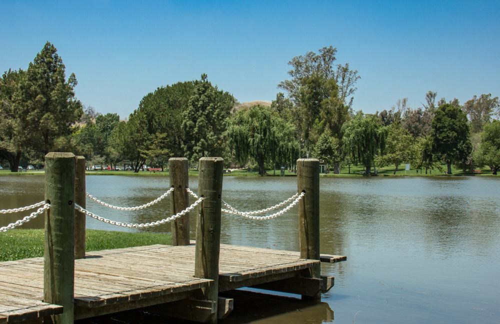 Spend an Afternoon in Carbon Canyon Park