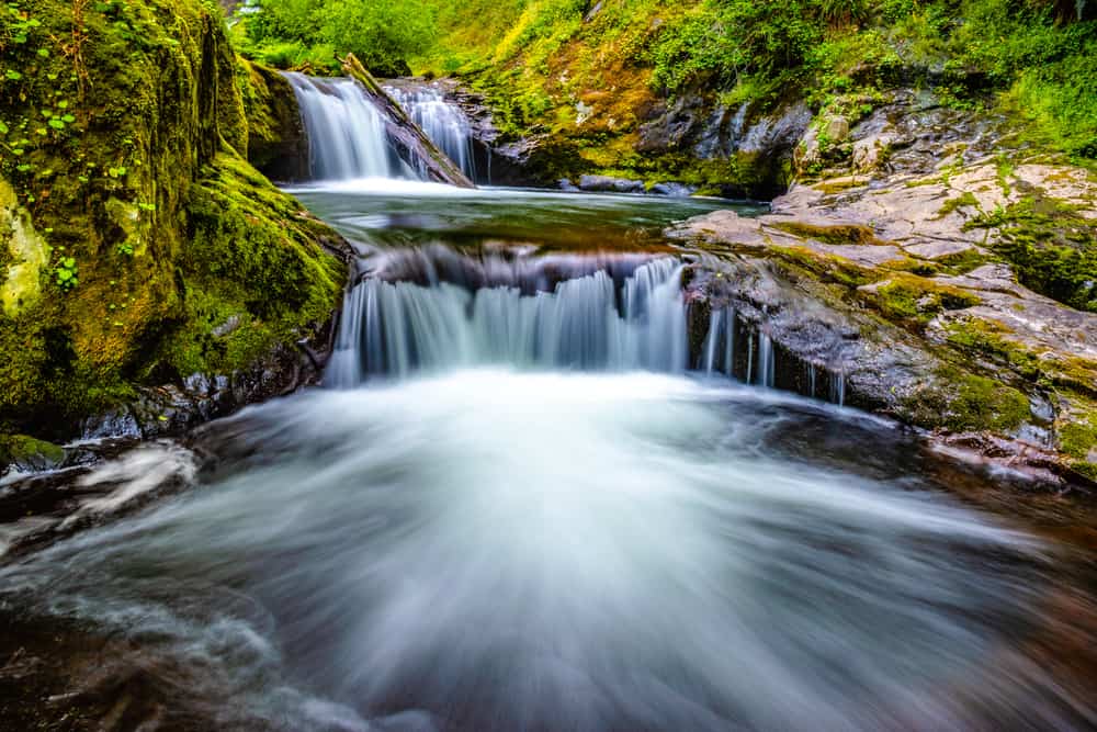 Sweet Creek Falls, Siuslaw National Forest