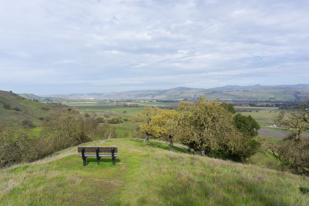 Take a Trip to Coyote Valley Open Space Preserve