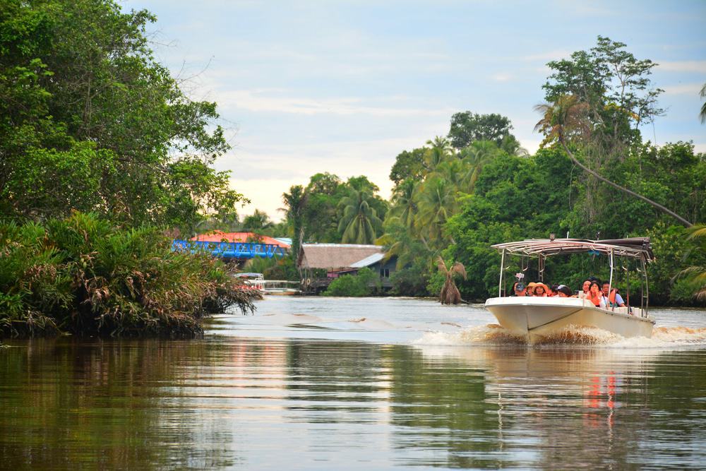 Take a wetland river cruise