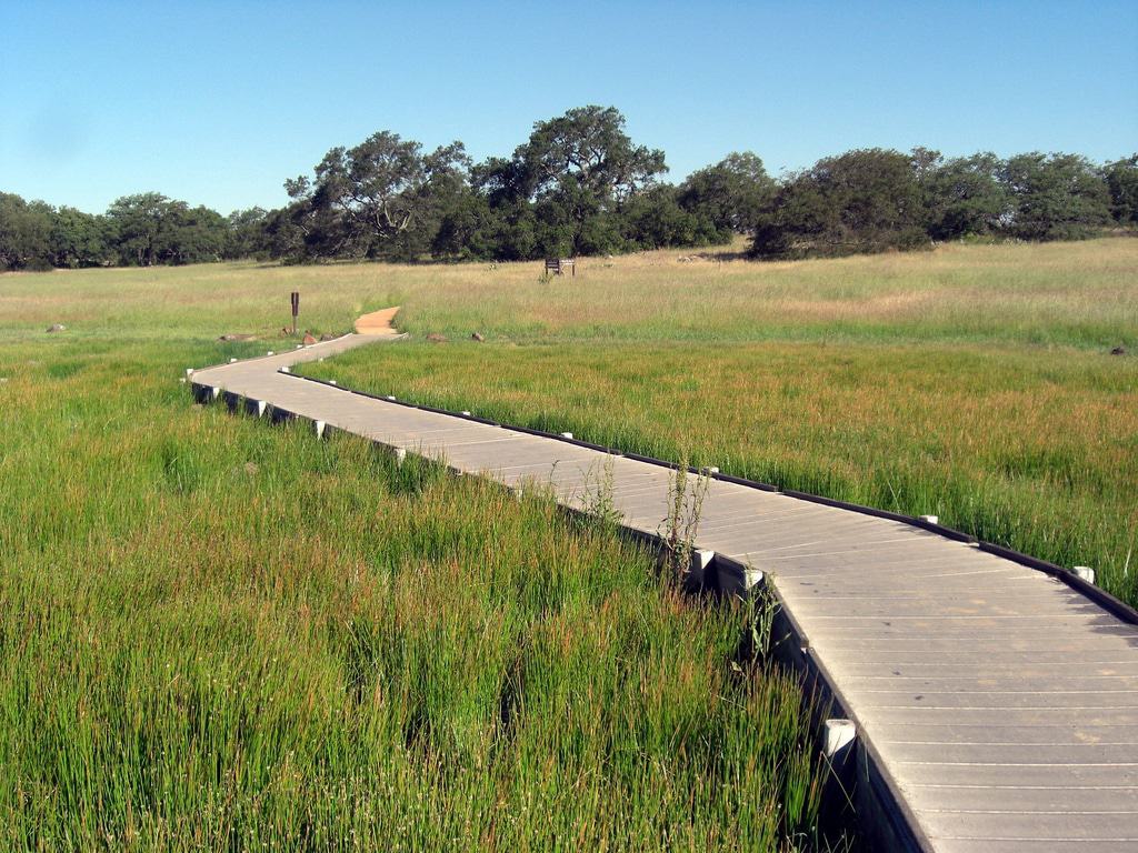 The Santa Rosa Plateau Ecological Reserve