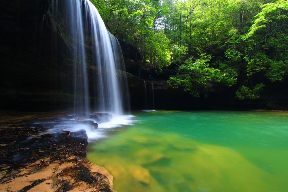 Upper Caney Creek Falls, Bankhead National Forest