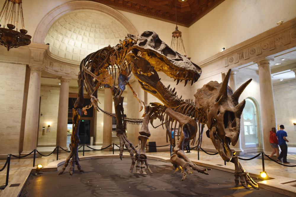 Visit the Natural History Museum of Los Angeles County