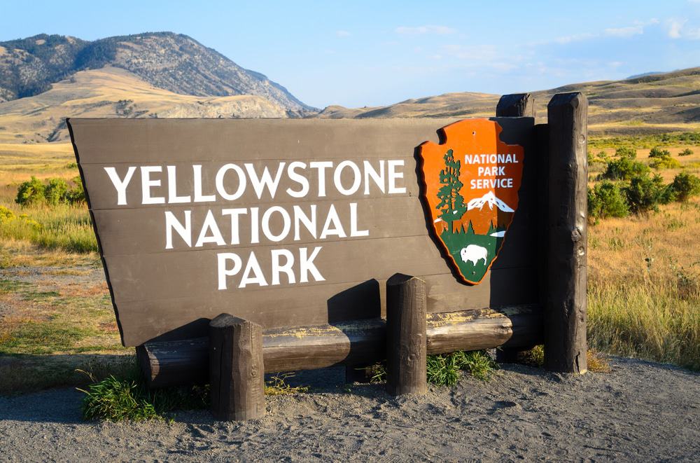 Yellowstone’s Zone of Death, Island Park